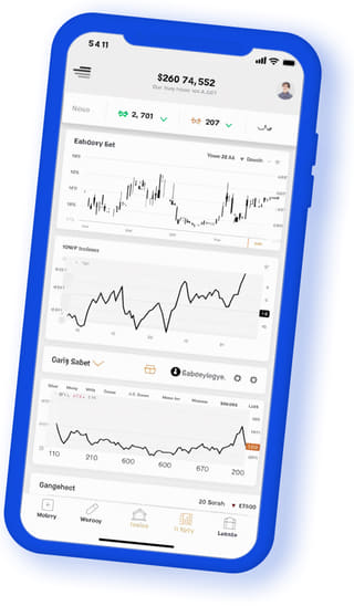 Fenix Fondivo digital web application on mobile device